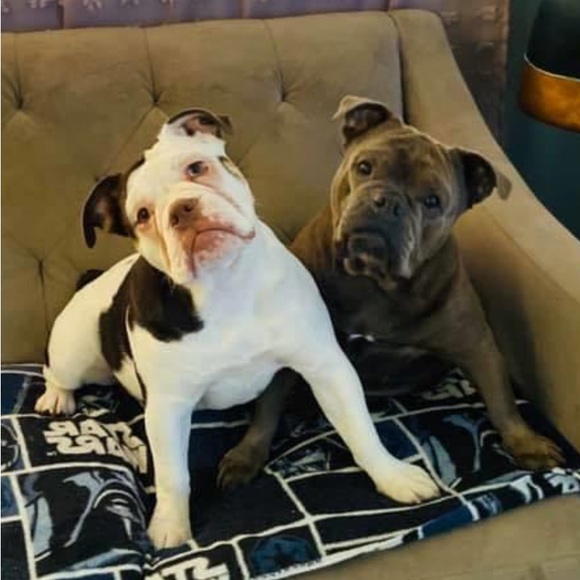 Meet your Posher, Diane - Picture 4 of 15